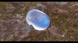 Moonstone Лунный камень ver 2.0
