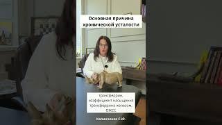 Какова основная причина хронической усталости?