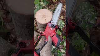 Husqvarna T542i vs Milwaukee M18 Hatchet. #mitchzenobitrees #shorts #arborist #husqvarna #milwuakee