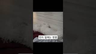 우리집 먼지 없애는 방법 참 쉽죠잉~ 꿀보이스 주의!