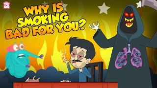 Why Is Smoking Bad For You? | Don't Smoke | The Dr Binocs Show | Peekaboo Kidz