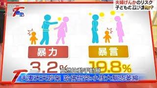 夫妻言語暴力傷害大 研究：小孩恐腦萎縮 T觀點 20190615 (4/4)