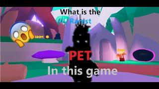 What is the rarest pet in pet swarm simulator (roblox pet swarm simulator)