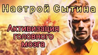 настрой Сытина активация головного мозга омоложение мозга