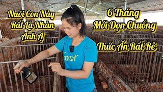 Mô Hình Chăn Nuôi Độc Đáo Của Cô Gái 9X | Khởi Nghiệp TV