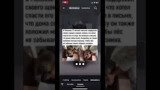…#безслов #бедный #щенок #жалко #животное #приют #история #новости #новое #недавно#жалко #…