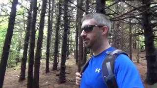 Yearly Carvers Gap Rhododendron Festival Hike