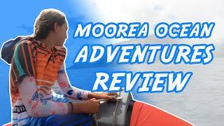 Swim With Whales | Moorea Ocean Adventures | Review of Whale Excursion | Tahiti