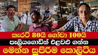 කැරට් 80යි ගෝවා 100යි | පෑලියගොඩින් එළවළු ගන්න | මෙන්න සුපිරිම කොලිටිය