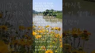 #혼자잘해주고상처받지마라 #유은정지음#21세기북스