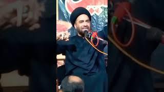 Allama Syed Ali Raza Rizvi