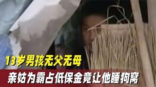 十三岁男孩无父无母，姑姑私吞他的低保，还让男孩住在狗窝