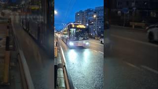 (@David_.trollino303 + șofer de miliarde) Troleibuz Solaris Trolino 18 #303 pe linia 5