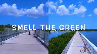 Pinellas Trail from 38th Ave ( Saint Petersburg ) up to Seminole , Florida . Camera DJI MIni 2