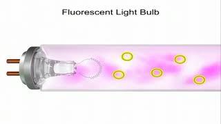 What are Electrons and Excitation Urdu Science