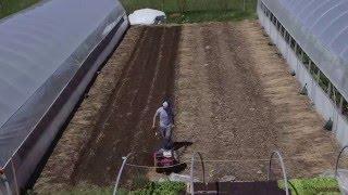 Bed Preparation In The Market Garden