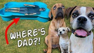 Hiding from my dogs in their pool!