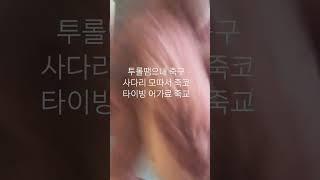 우씨