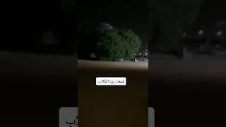 مشاري ملك الترند #اكسبلور