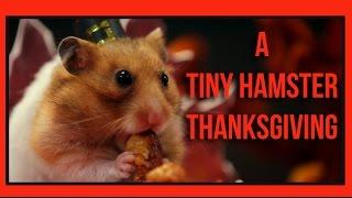 Ep. 4 - An Epic Tiny Hamster's Thanksgiving Feast With A Tiny Friend in Holiday