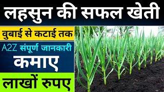 Garlic cultivation Garlic farming | full A2Z Video | Garlic farming | Earn lakhs of rupees, garlic, food