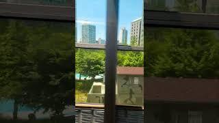 #11003 #방랑시인김삿갓 #법률상담 #법학박사김철중 #법무사전문위원김철중 #동국대겸임교수김철중 010.5027.2030 2025.6.22 #travel #감성 #여행