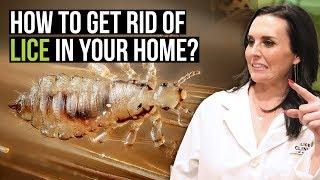 How to Get Rid of Lice in Your Home - 6 Tips for Removing Head Lice