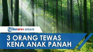 Detik-detik Rombongan Pendulang Emas Dihujani Anak Panah saat Masuk Hutan Halmahera, 3 Orang Tewas