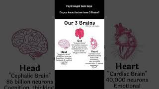 Psychologist Sam Says: Our 3 Brains : Triune Brain