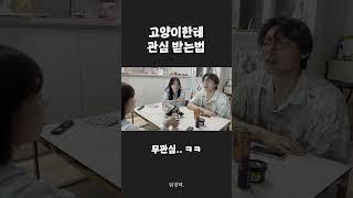 고양이한테 관심 받는 100% 공략법 #shorts