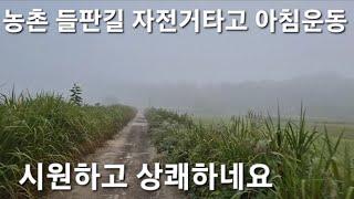 귀농귀촌 생활 전원일기 #시골 #시골남자 #시골길 #농촌마을 #농촌풍경 #농촌여행 #농촌생활 #농촌 #귀촌생활 #귀촌 #아침운동 #자전거코스 #자전거타기