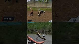 SINOSAUROPTERYX ALL ANIMATION | Jurassic World The Game