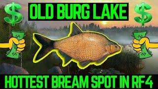 Russian Fishing 4 ACTIVE Bream Spot (Old Burg Lake)