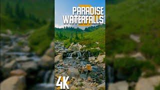 Nature Sound to Relax & Concentrate - Vertical Video in 4K - Calming Ambience of Paradise Waterfalls