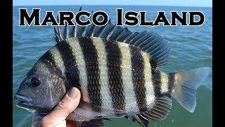 Surf Fishing in Marco Island | Pt. 3