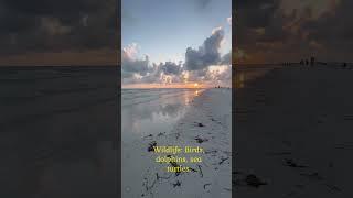 Siesta Key Beach in Sarasota, Florida