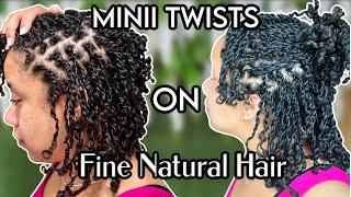 Trying MINI TWISTS on  WET fine natural hair | mini twists thin natural hair