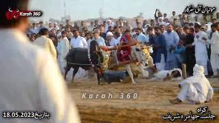 Accident At Jalsa Bail Karah Jhamra Sharif Kallar Kahar Chakwal 18.05.2023.