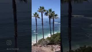 California Beaches: Laguna Beach 