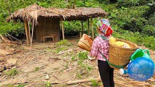 She Turned This Dilapidated House Into Her Dream Home | Ly Tu Nga