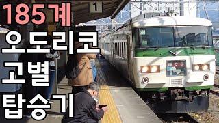 【일본철도】 국철 185계 특급 오도리코 고별 탑승기