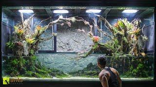 My NEW Giant Tropical Wetlands Vivarium is Finally Complete