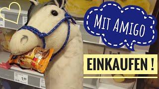 Mit Hobbyhorse EINKAUFEN ! Chaos Pur