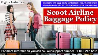 Scoot Airline Baggage Policy | Hand Baggage And Checked In Baggage