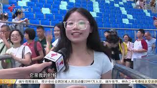 【今日关注】广东：端午龙舟竞渡 上演速度与激情|端午恰逢 “大一” 广州文旅活动丰富|深圳：端午客流小高峰 口岸、铁路做好通行运力保障|20250531完整版 #粤语 #news
