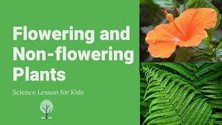 Flowering and Non-flowering Plants | Differences, Examples and Reproduction | Science Lesson