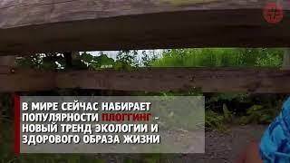 Чисто там, где нет мусора! 