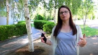 Отзыв участницы гештальт-интенсива "Вершины мастерства" от тренеров МИГИП