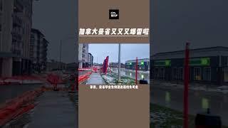 加拿大曼省省提名又又又爆雷了？ #加拿大 #加拿大移民 #温尼伯 #移民