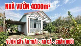 NHÀ VƯỜN VEN BÌNH CHÁNH MỚI NHẤT quá rẻ, vườn + ao + khu chăn nuôi rộng 4000m2, xe hơi đậu cửa nhà